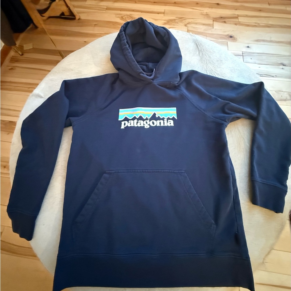 Patagonia Hoodie dark blue